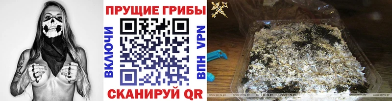 Псилоцибиновые грибы Cubensis  закладки  Донецк 